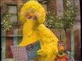 Sesame Street 3903 Alan Makes A Birdseed Pizza