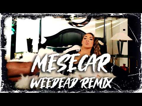 GOGA SEKULIC - MESECAR (WEEDEAD REMIX)