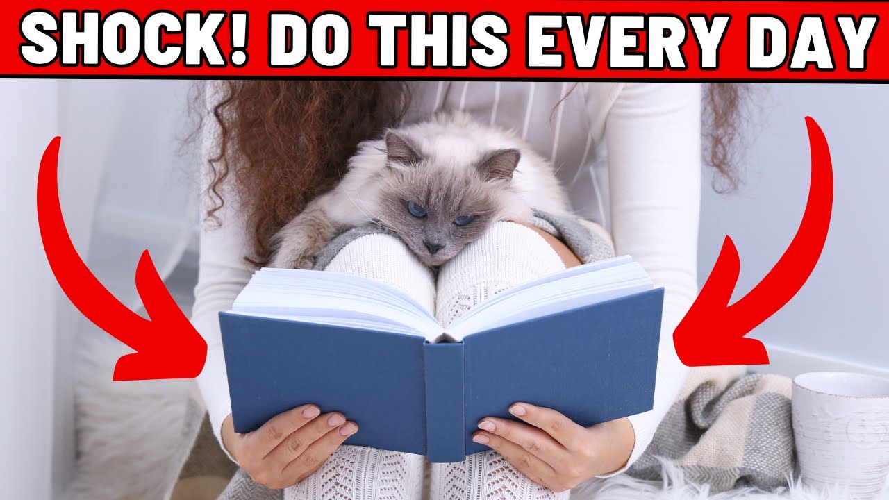 15 Things You Do That Your Cat Actually Loves😻 (MAKE THEM HAPPY)