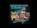 Teal Town Bullyz song