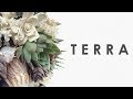 Johari Terra