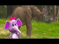 Baby Genius Songs Baby Elephants