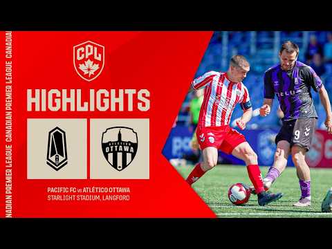 bg-highlight