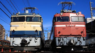 EF65 501 & EF81 81　汽笛
