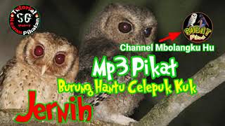 Download lagu suara burung hantu clepuk mp3 Download lagu suara burung hantu clepuk mp3