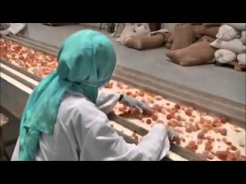 download lagu mp3 mp4 Apa Itu Arabic Gum, download lagu Apa Itu Arabic Gum gratis, unduh video klip Apa Itu Arabic Gum