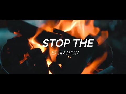 TIMELINE OF EXTINCTION of DIFFERENT SPECIES