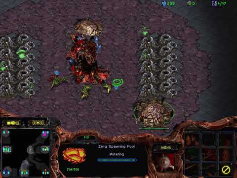 When Probes Attack... (StarCraft Broodwar Fastest 4v4)