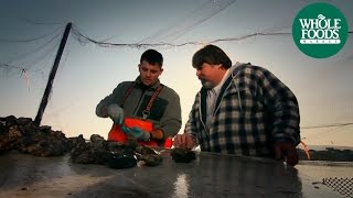 How to Shuck an Oyster | Local Love 101 | Whole Foods Market