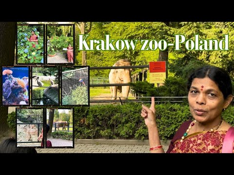 Krakow Zoo-Poland 2023 ! Walking Tour ! Krakow zoological garden/Weekend Vlog #swarajcookingandvlogs