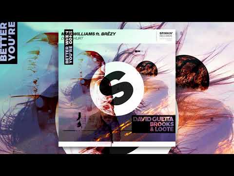 Mike Williams vs. David Guetta, Brooks - Don't Hurt vs. Better When You're Gone (Zodiac X Mashup)