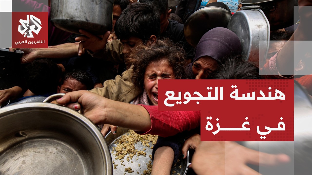 هندسة التجويع في غزة.. أرقام صادمة تكشف حجم المعاناة الإنسانية في القطاع