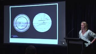 Experimenta Social 13: Elizabeth Willing on Participation, Sense and Taste
