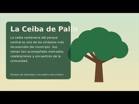 Video Palin Escuintla final