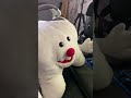 A Special Message From Timothy Tooth Timothytooth Dentist Dental Meme Puppet Memes Funny