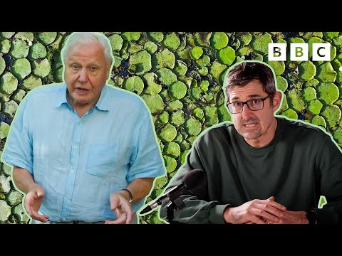 Louis Theroux VS Sir David Attenborough – who narrates The Green Planet better? 🤔 🌱 BBC