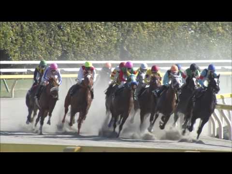 2017 HYACINTH STAKES