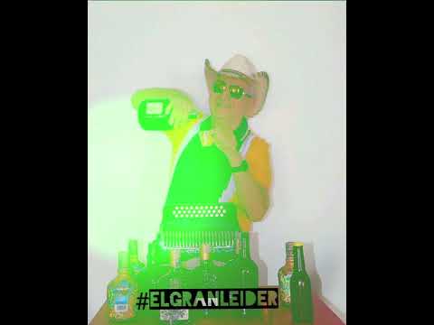 LA CARRETERA DE LOS LOCOS - DOLCEY GUTIERREZ