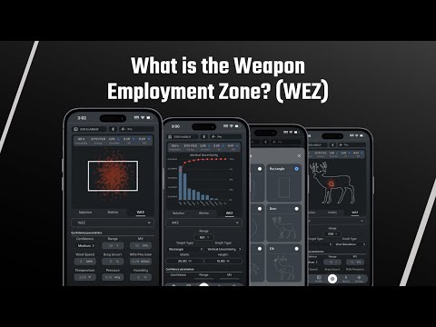 What is the Weapon Employment Zone (WEZ)?