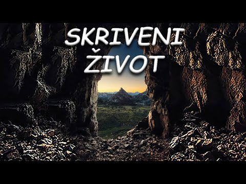 Skriveni život (Danijel Lasić)