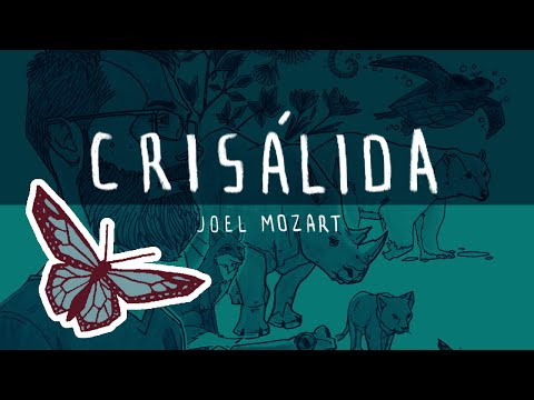 Crisálida video