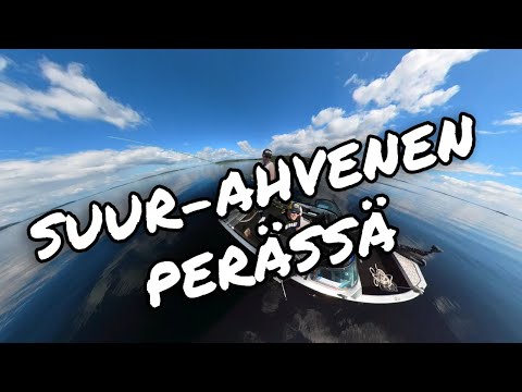 Suur-Ahvenen perässä