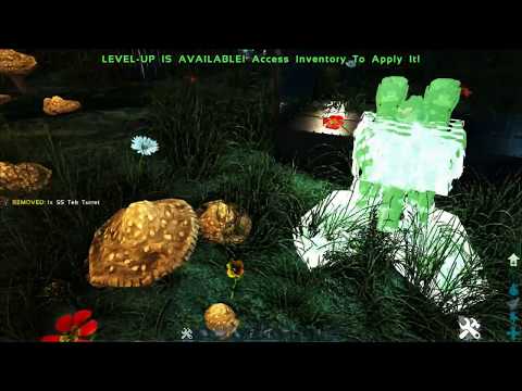 How To Build An Unraidable Pearl Cave Center Ark Survival Evolved Community Content
