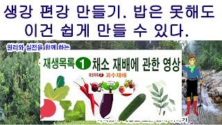 생강 편강 만들기. 밥은 못해도 이건 쉽게 만들 수 있다 (생강 손질법, 생강 요리, 생강 효능, 생강 편강…