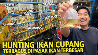 Download lagu HUNTING BETTA FISH TERBAGUS DIPASAR TERBESAR BANDUNG! BEGINI KONDISINYA SEKARANG 2025! mp3 Download lagu HUNTING BETTA FISH TERBAGUS DIPASAR TERBESAR BANDUNG! BEGINI KONDISINYA SEKARANG 2025! mp3