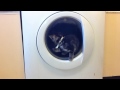 1 Cat And A Washing Machine