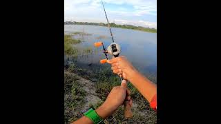 Download lagu Suara Zing Cast 103hsl 😘👍👍 mp3