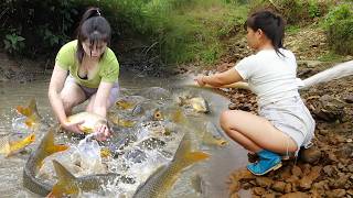Full Video: Girl Fishing, Using Bait to Attract Fish, Pulling The Nets Catching a Lot Of Fish