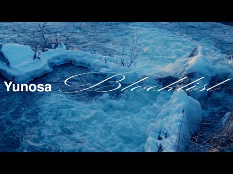 Video thumbnail for blocklist