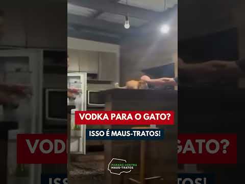Você acha graça nisso? 😡😡
