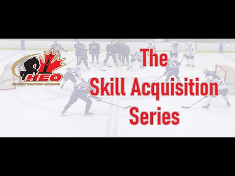 Stuart Armstrong - The Foundations for Skill Acquisition