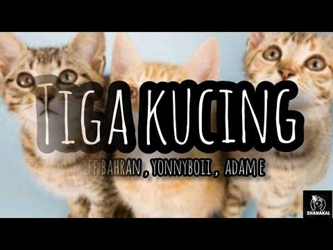 TIGA KUCING ( TEASER )  -  ARIFF BAHRAN , YONNYBOII , ADAM E