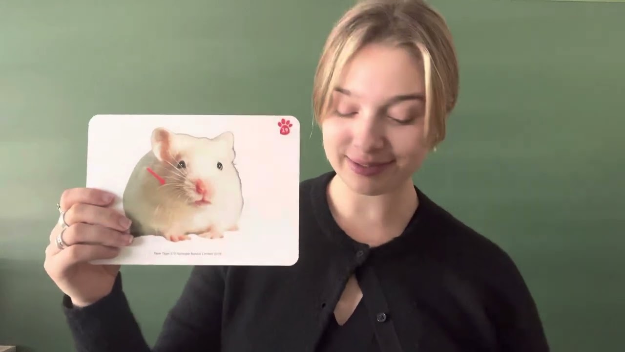 New Tiger 3 (Animal Body Parts) UNIT 2