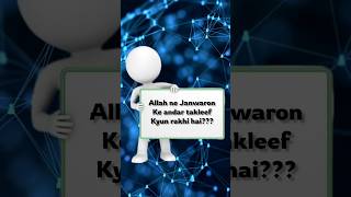 ONE Question Ended The Debate! | Sahil vs Yahya on Animal Suffering