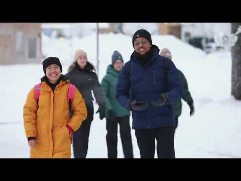 Winter time at Umeå University ❄️