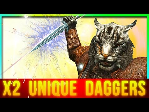 Skyrim Best Weapon at Level 1 for FAST Attacks Dual Wielding (2 Unique Dagger Locations)