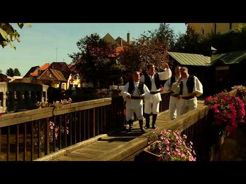 Kvartet Gubec -  Samoborske oštarije