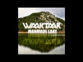 Manmade Lake (Paul Waaktaar Savoy) 