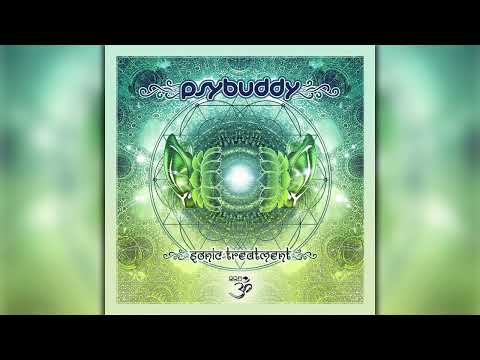 PsyBuddy - Sonic Treatment (goaLP046/Geomagnetic Records/Psytrance)::Full Album