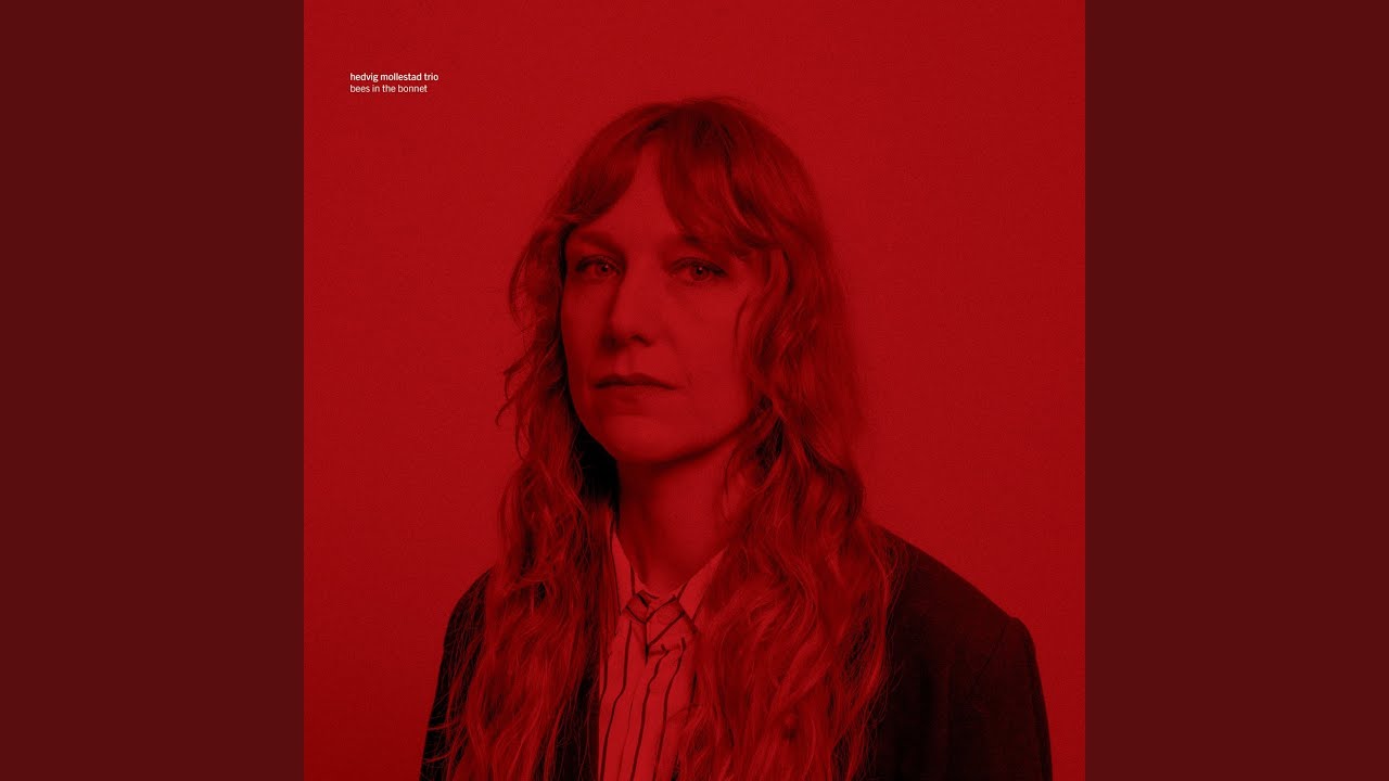 Apocalypse Slow - YouTube