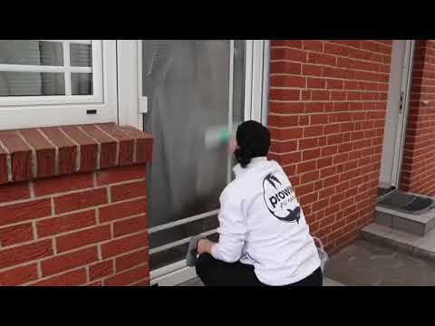 proWIN Fensterreiniger