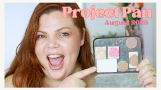 Project Pan Update 7 | August 2023
