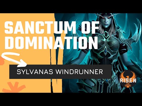 Risen vs. Heroic Sylvanas Windrunner SoD (Resto Druid & Vengeance DH PoV)