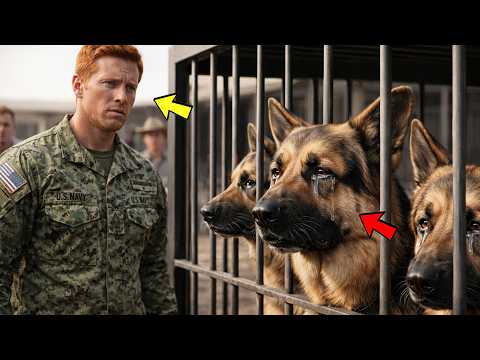 Spezialkräfte Veteranen Chronik and 3 more