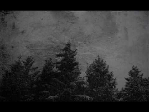 Freddie Dredd -  DeepInTheForest (Prod.The Virus And Antidote)