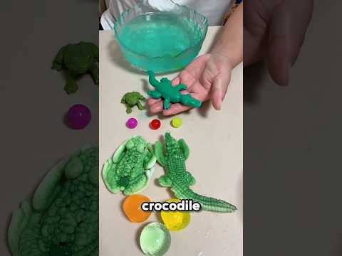 My Frog Grew 5X Bigger in Water? 😱🐸 | Magic Craft Zone